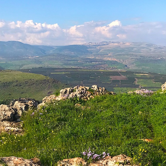 Meet your Posher, Evalynn 💕 - Picture 1 of 2